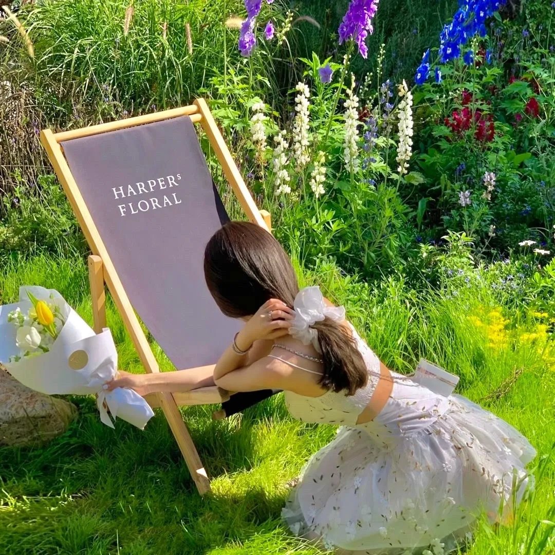 下堂嫡女权倾朝野后，皇子求娶